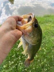 Fisherman strategically using a Megabass Dark Sleeper lure during summer fishing, perfectly imitating a bottom-dwelling prey to crush predatory bass in warmer waters.