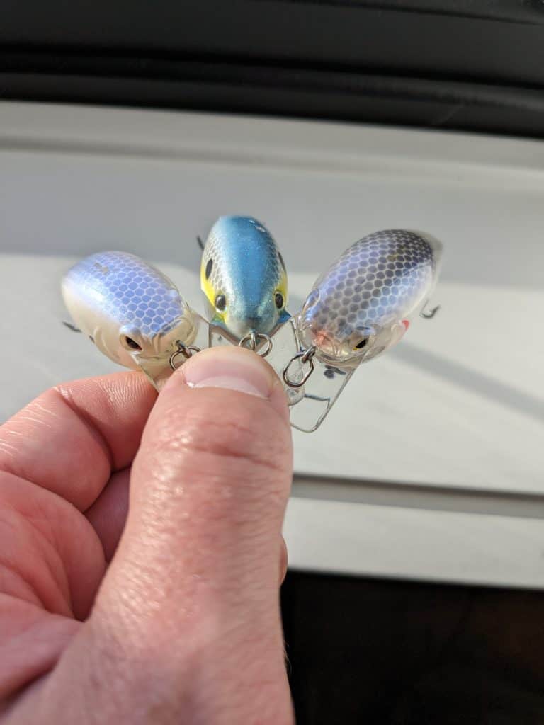 Close-up of a shad-colored squarebill crankbait, an effective lure renowned for attracting largemouth bass in various water conditions