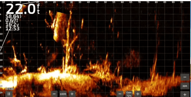 Image featuring the forward-facing sonar units of Garmin, Hummingbird, and Lowrance, the leading brands in bass fishing technology