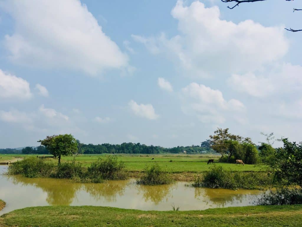 An angler standing on the shore of a small pond, casting a line in the summer sunshine, targeting largemouth bass with effective bank fishing strategies.