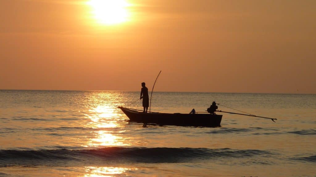 Angler on a boat during early morning sunrise, casting line for bass fishing, taking advantage of the prime feeding time for bass.