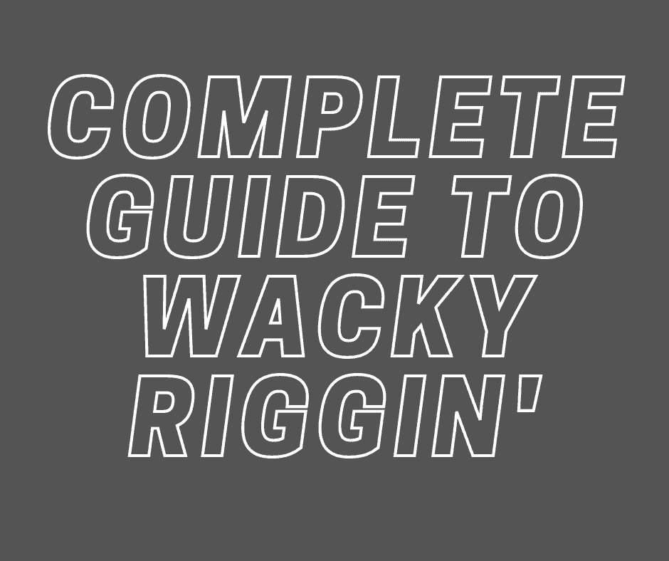 An instructive photo guide illustrating the step-by-step process of setting up and using a wacky rig for successful bass fishing.