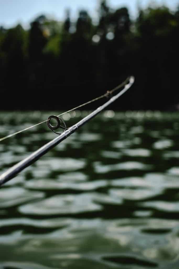 Angler demonstrating proper tension on fishing line to prevent a gut hooked bass, emphasizing sustainable fishing practices.