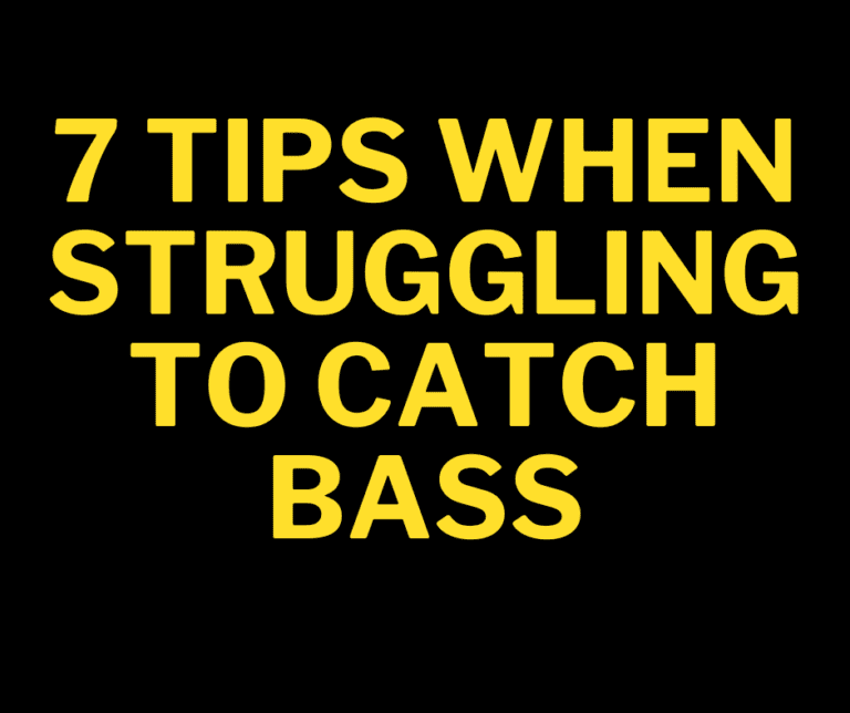 Struggling to catch bass logo